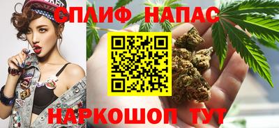 прущие крисы Можга